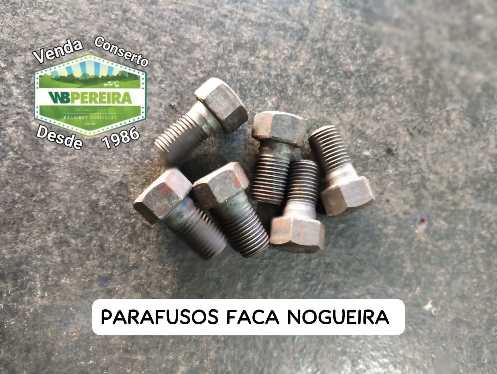 PARAFUSO NOGUEIRA FACA  COMPLETO 2 ARRUELAS