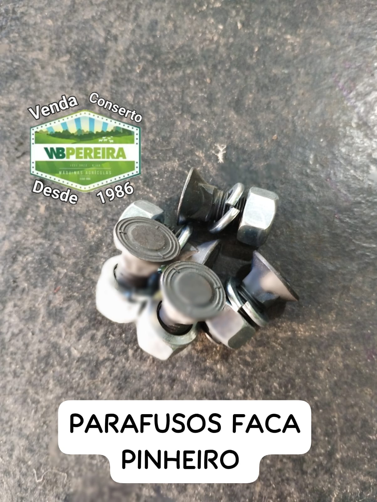 PARAFUSO PINHEIRO FACA ORIGINAL