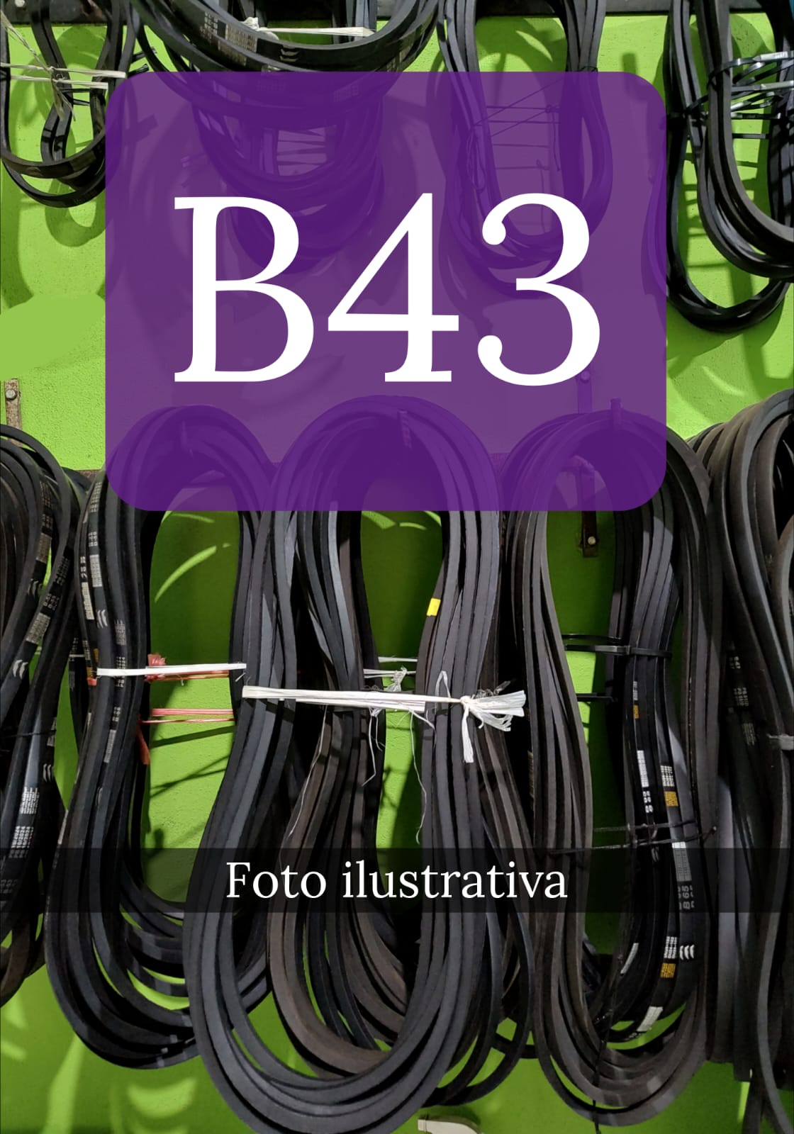 CORREIA B 43