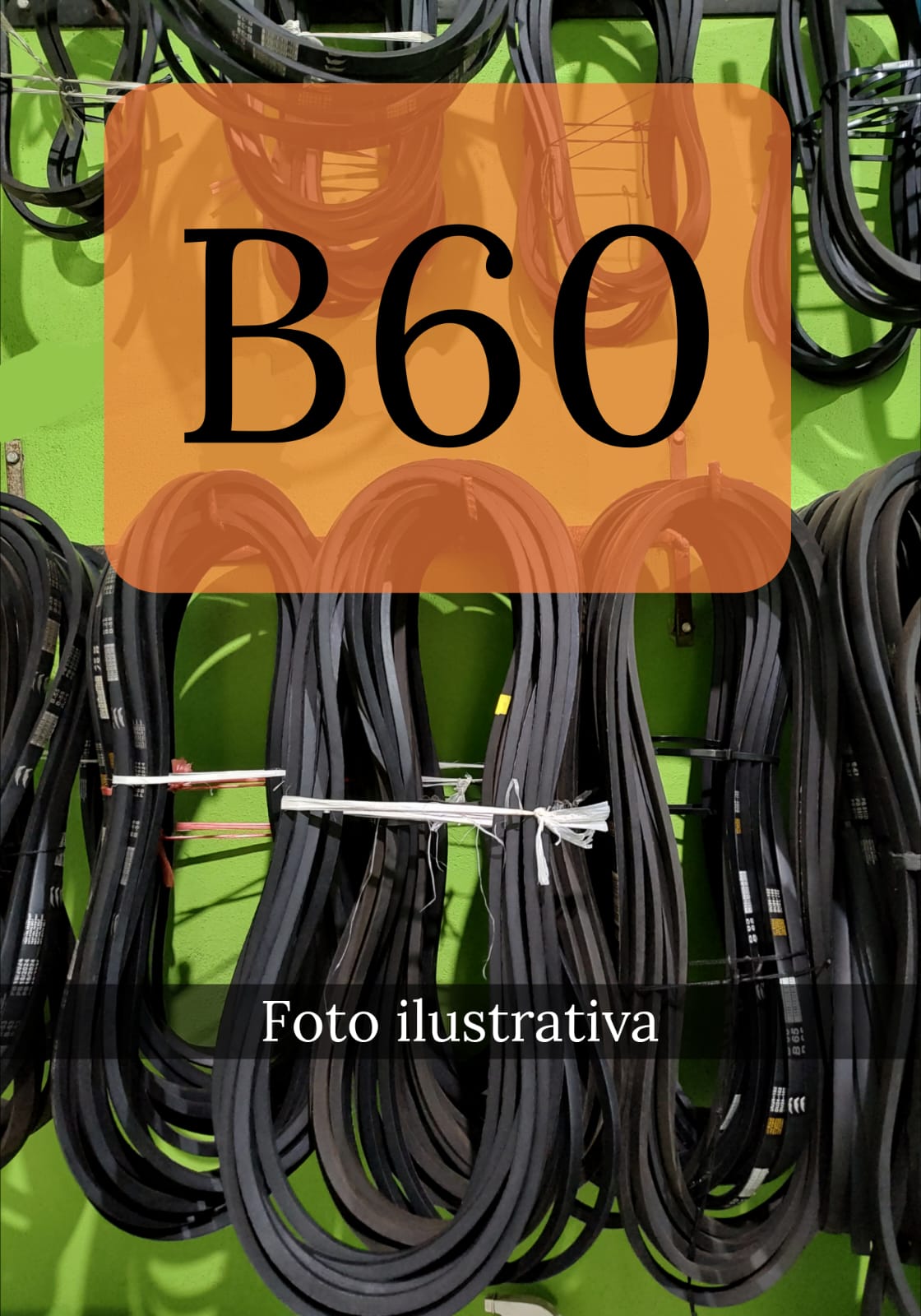 CORREIA B 60