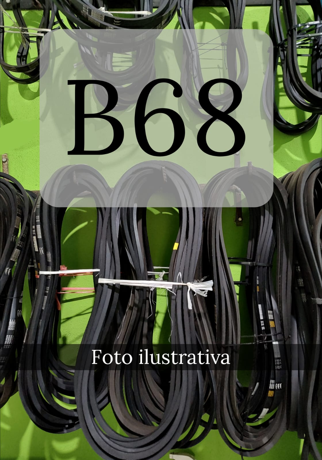 CORREIA B 68