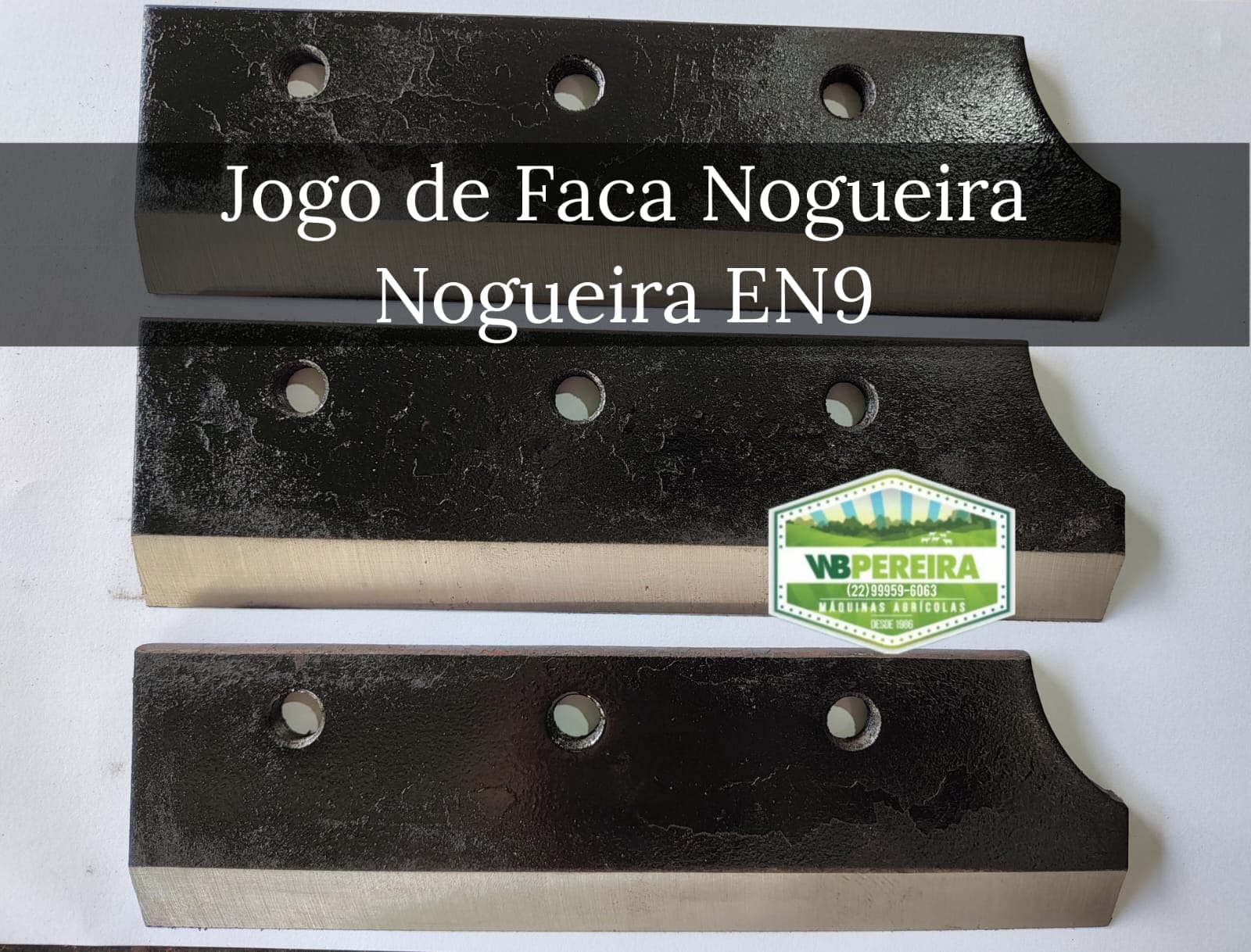 FACA NOGUEIRA JSEN 9/6400 CROMO (JOGO 3 UND)
