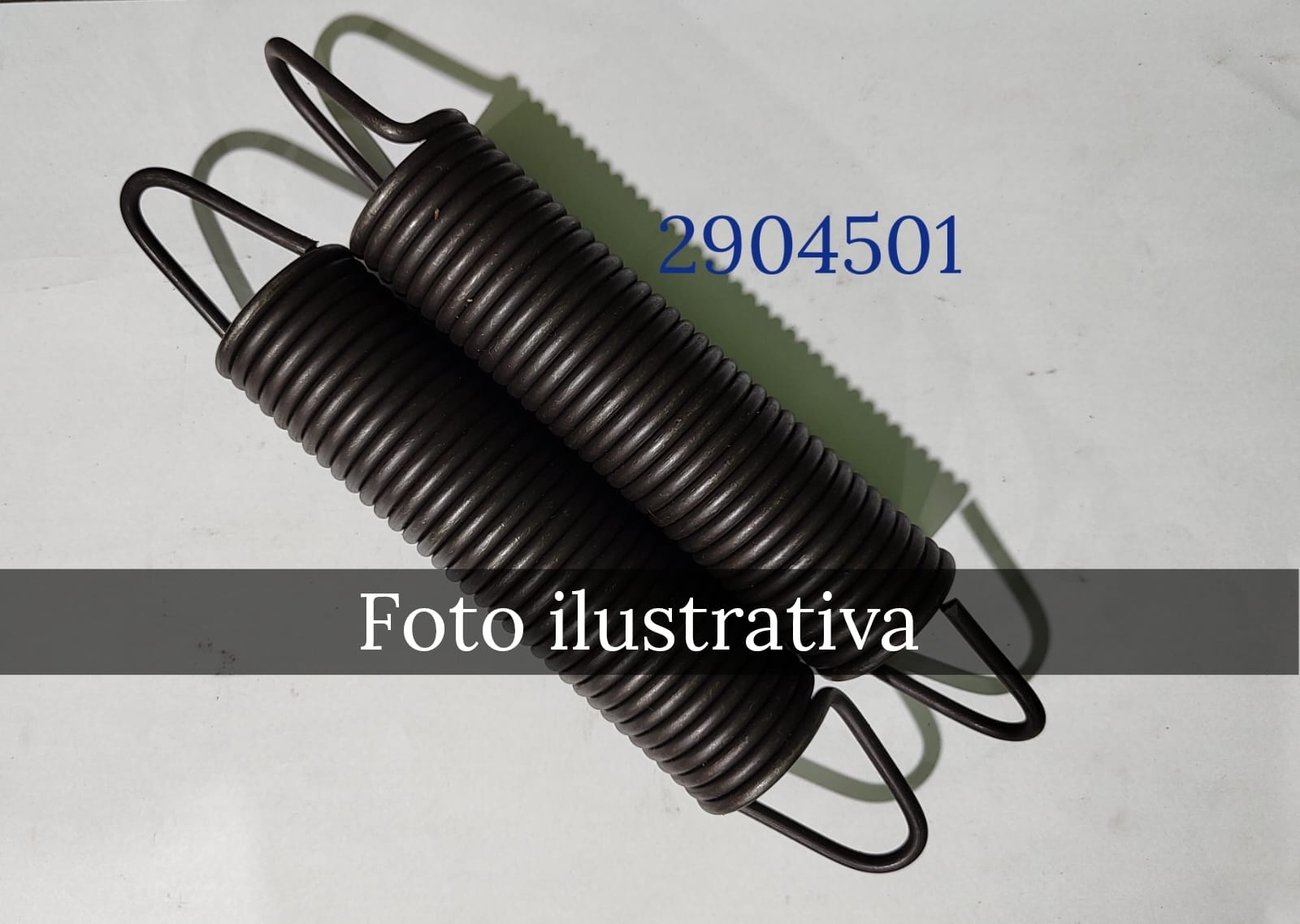 MOLA NOGUEIRA ORIGINAL 2904501 ROLO