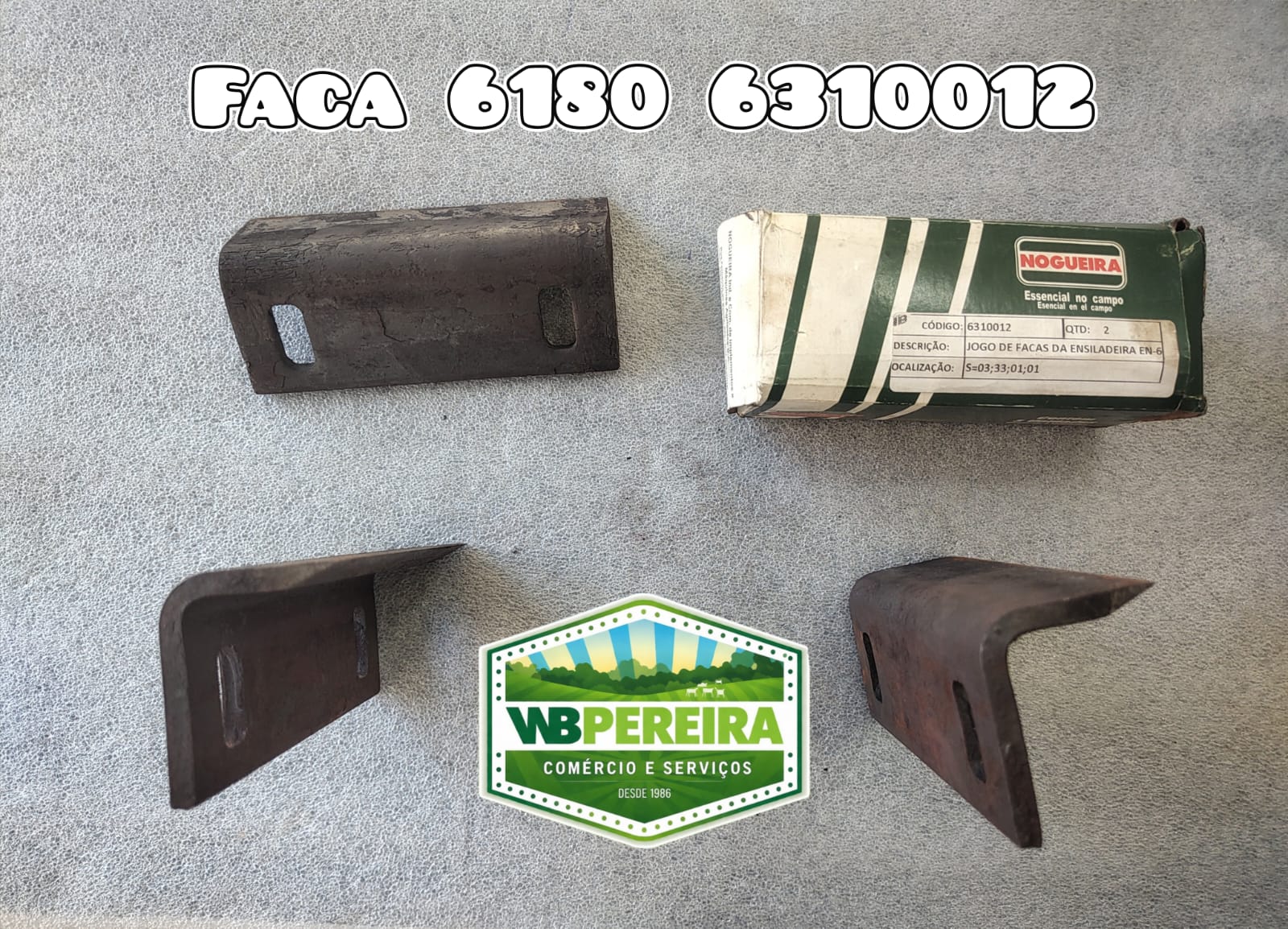 FACA NOG DO ROTOR (JOGO) EN6180 6310012 L.F14